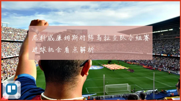 尼科威廉姆斯对阵乌拉圭队小组赛进球机会看点解析