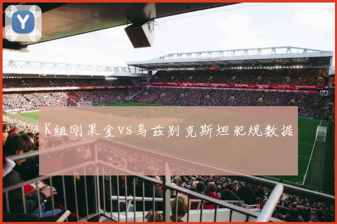 K组刚果金vs乌兹别克斯坦犯规数据